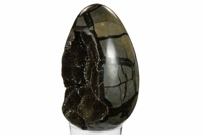 Septarian Dragon Egg Geode - Black Crystals #172818